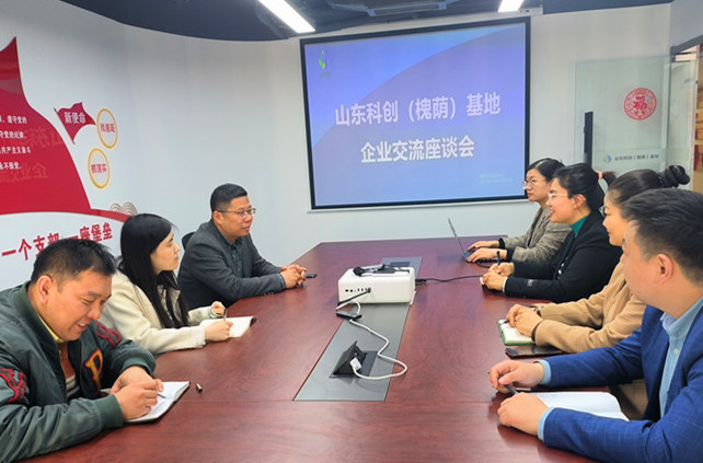 山东科创(槐荫)基地与2026世界杯官网租赁召开座谈会，加强交流合作